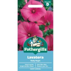 5011775470610 1 Mr Fothergills Lavatera Ruby Regis Seeds.jpg